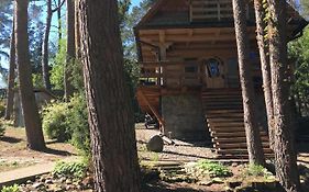 Domek z bali Tryszczyn nad Brdą